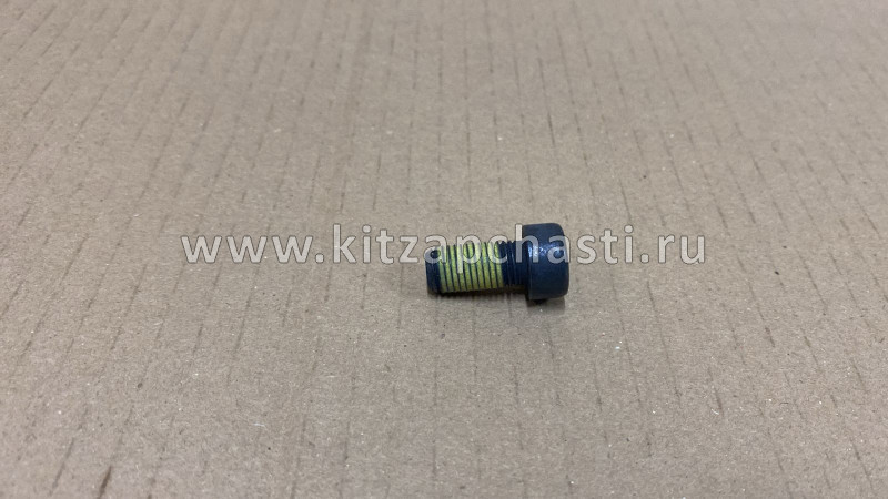 Болт маховика HAVAL Jolion 2024 1005013XEC01
