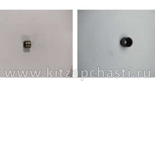 Колпачок маслосъемный Belgee X50+ 1030043500