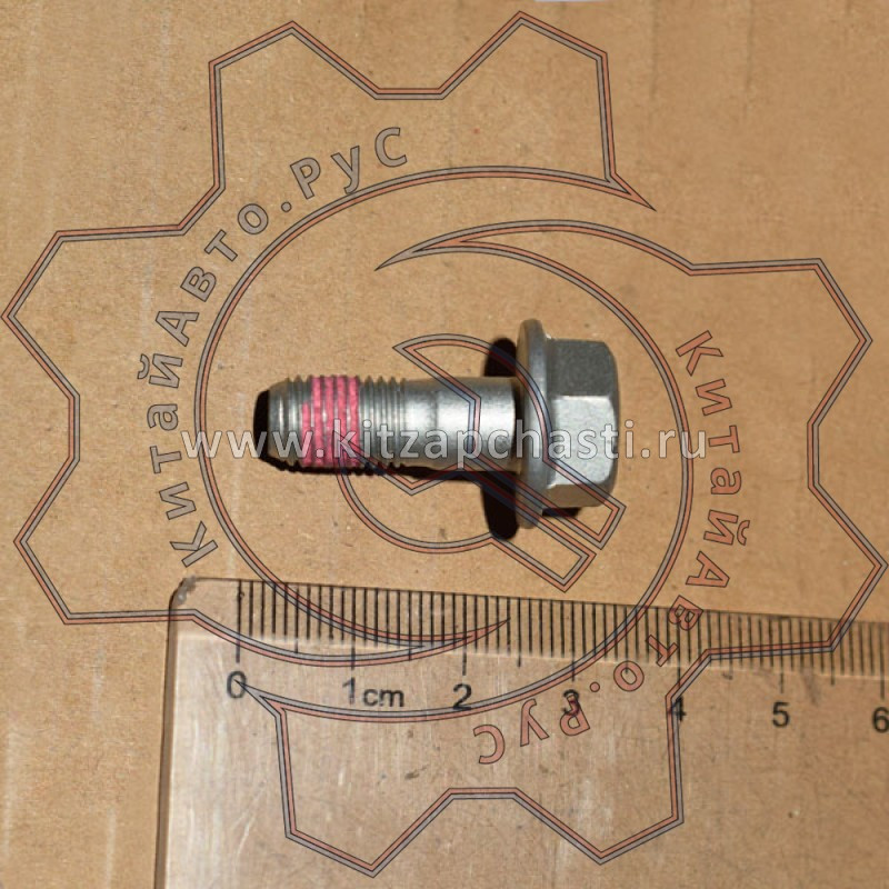 Винт скобы EXEED VX 204000191AA