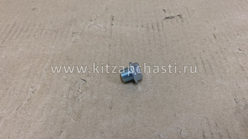 Сливная пробка поддона ДВС EXEED RX 481H-1002042