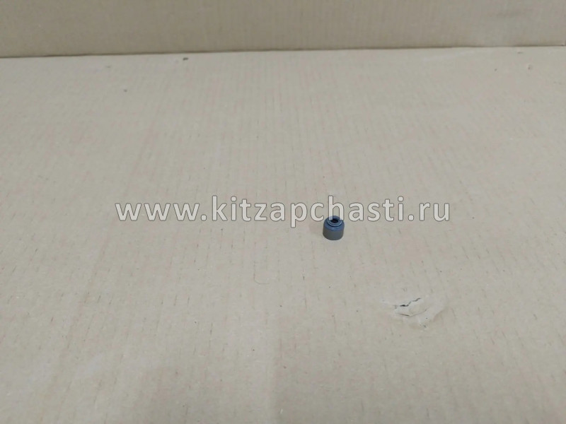 Колпачок маслосъемный впускной впускной и выпускной одинаковые EXEED RX  F4J161007071