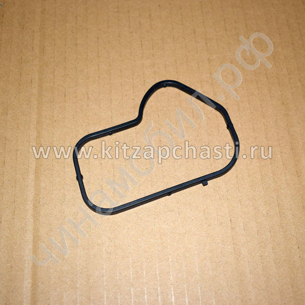 Прокладка помпы Chery Tiggo 7L F4J161307114