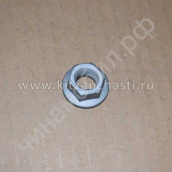 Гайка подвески Chery Tiggo 8 Pro MAX 2023 FQ331A12T13F61K