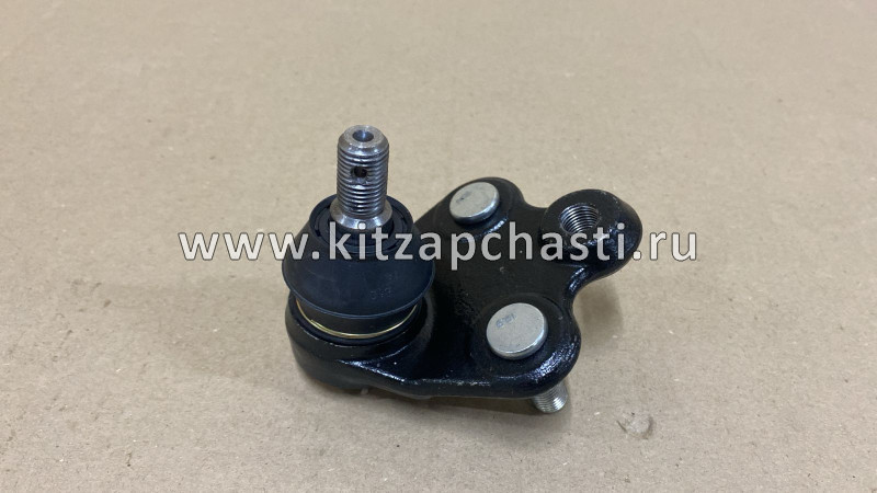 Шаровая передней подвески с пыльником HAVAL H6 COUPE  2904150XKZ16A QUATTRO FRENI QF50D00305